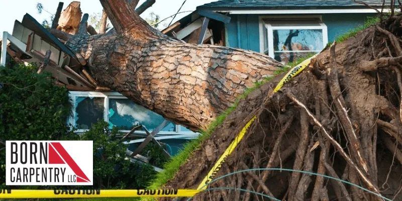 The Top 5 Things You Should Know About Storm Damage Restoration