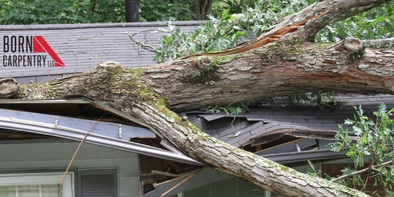 Why You Need Storm Damage Restoration Services