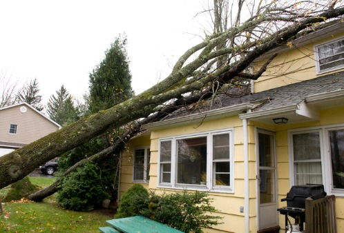 storm damage restoration tips