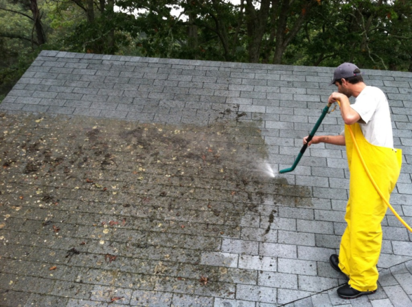 need of regular roof maintenance