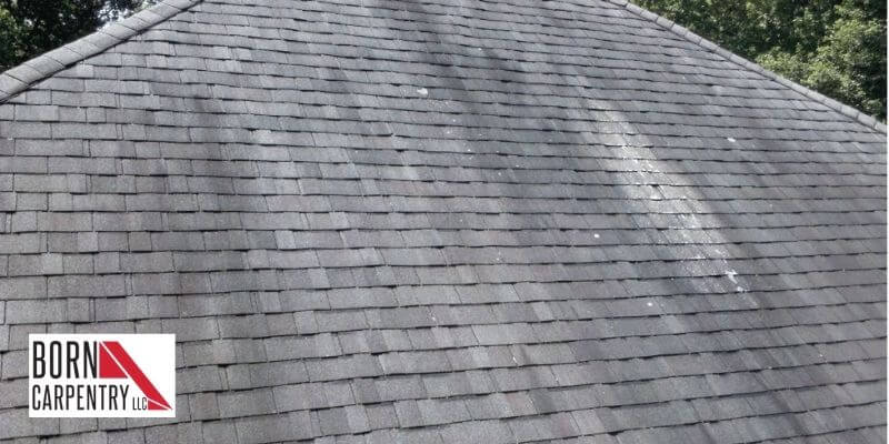 You Start To Notice Dark_Dirty Areas On The Surface Of Your Roof