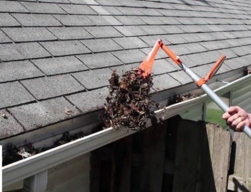 Why It’s Important To Clean Your Gutters Routinely