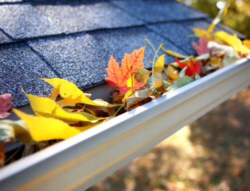 How Does Climate Change Affect Your Gutters?