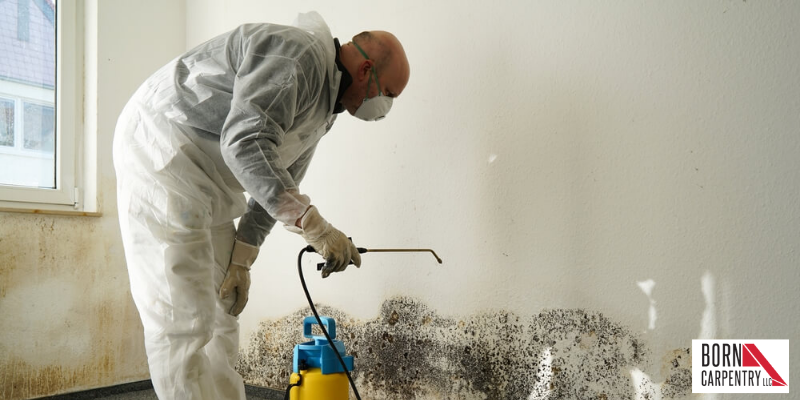 Remediation for mold mildew