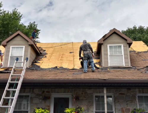 What To Do After A Storm Damages Your Roof