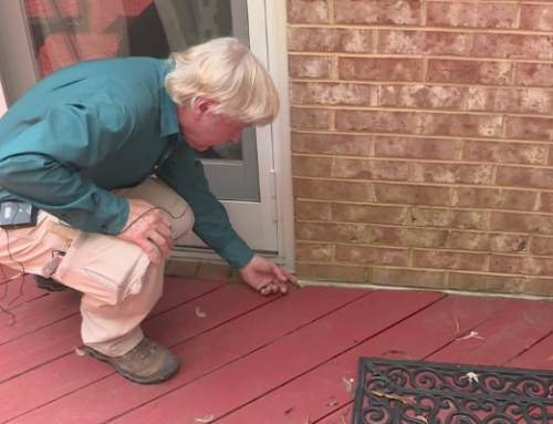 How To Inspect Your Deck To See If It Needs Repair
