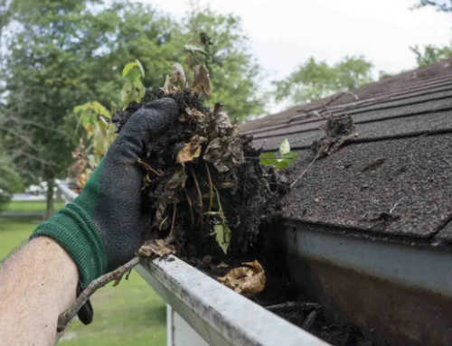 8 Reasons Why You Should Clean Your Gutters