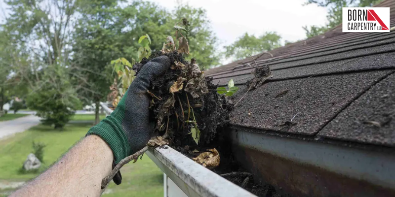 Reasons-Why-You-Should-Clean-Your-Gutters