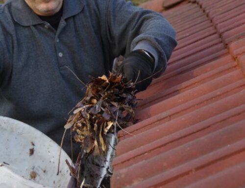 7 Problems Caused By Not Cleaning Your Gutters