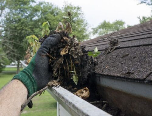 Gutter Cleaning: Why Neglecting Them Can Cost You More Than You Think