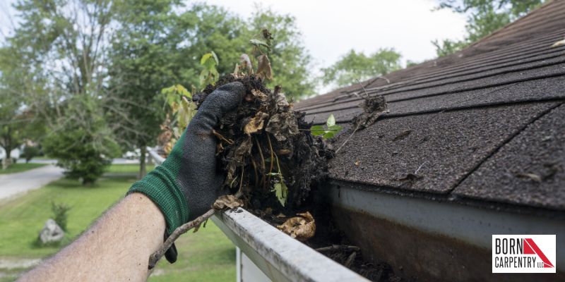 Gutter Cleaning_ Why Neglecting Them Can Cost You More Than You Think