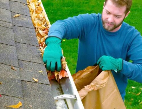 10 Reasons Why Gutter Cleaning is Worth the Investment
