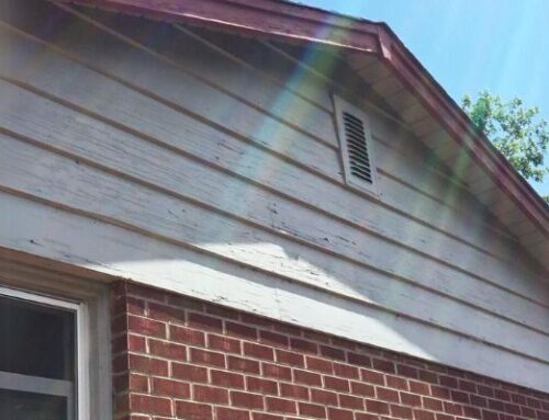 Common Types of Siding Damage